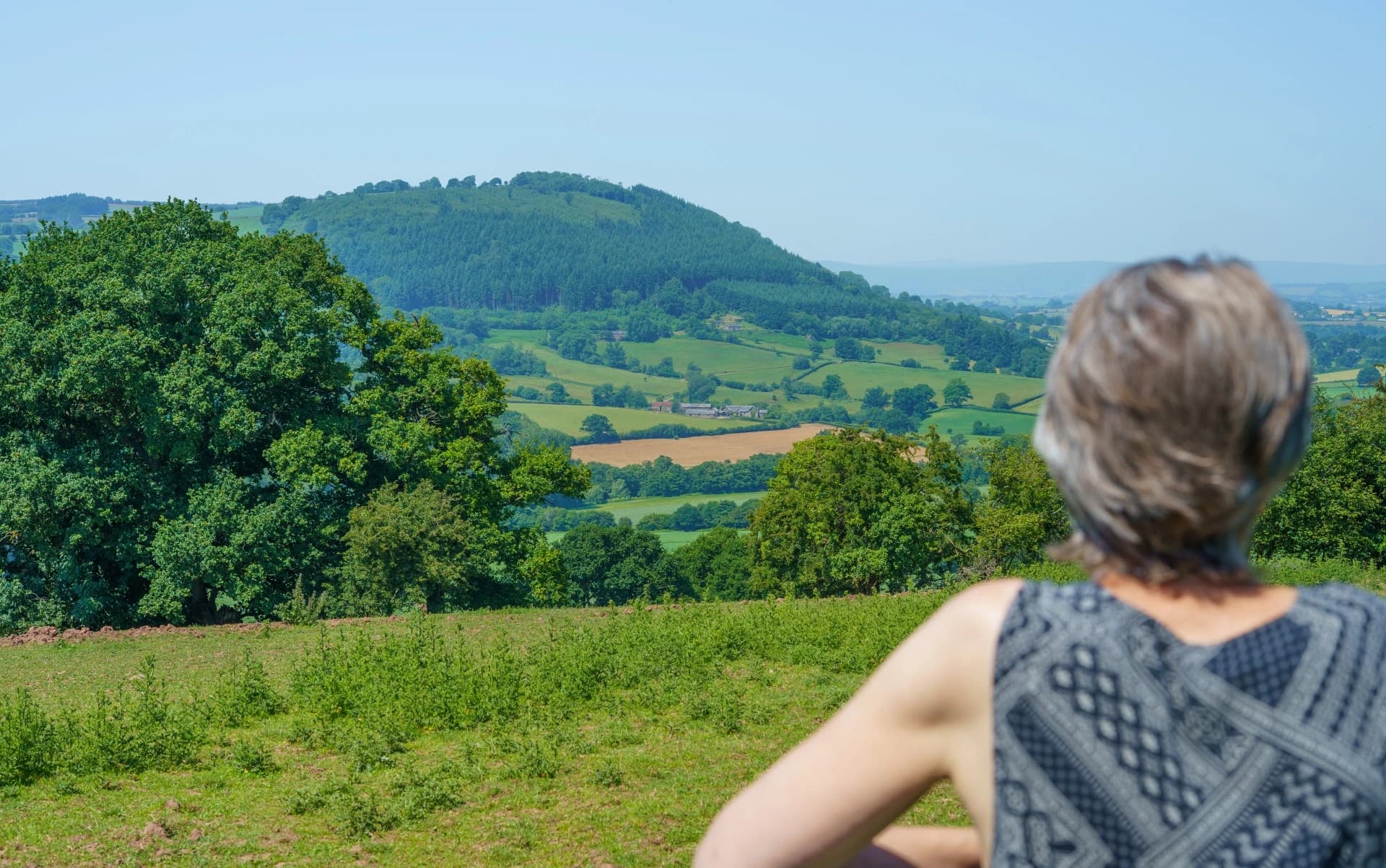 Landscape image of the Whitlshire country side