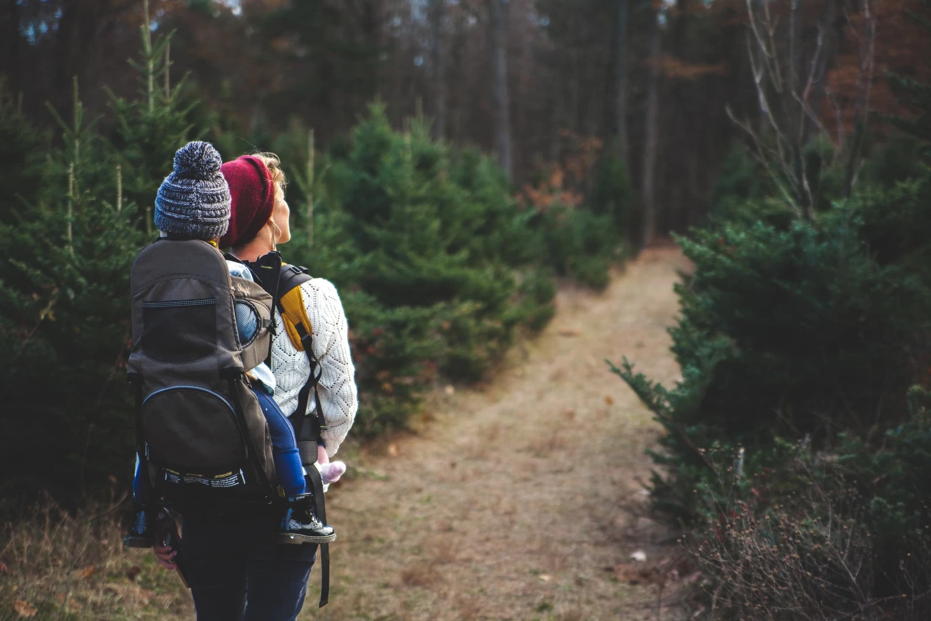 Mother hiking with small child in woods